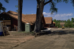 Surface grading severs many absorbing roots