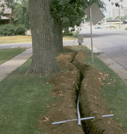 Trenching near trees can severely damage root systems.