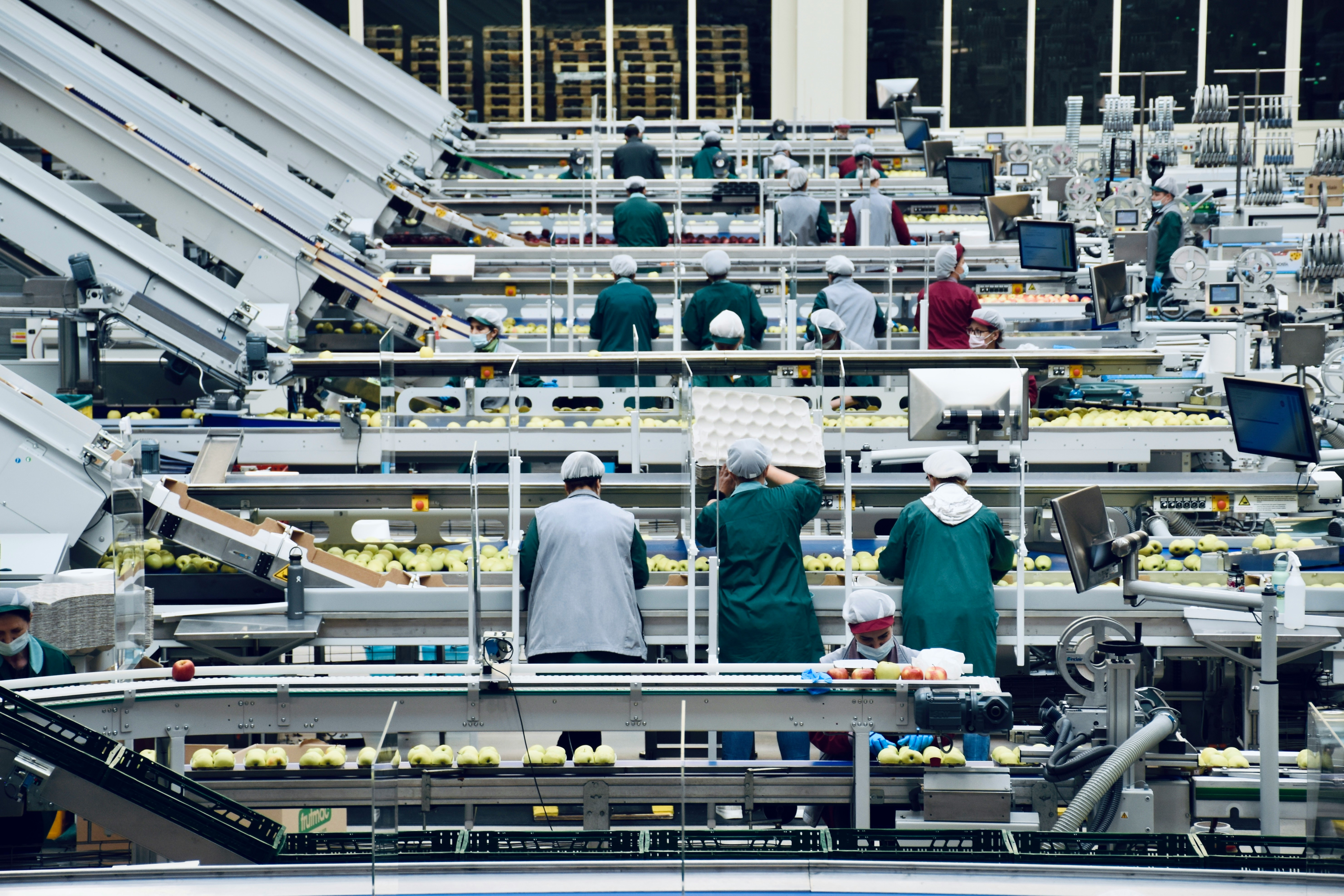 Factory workers sorting apples on conveyor belts in a large food processing facility.