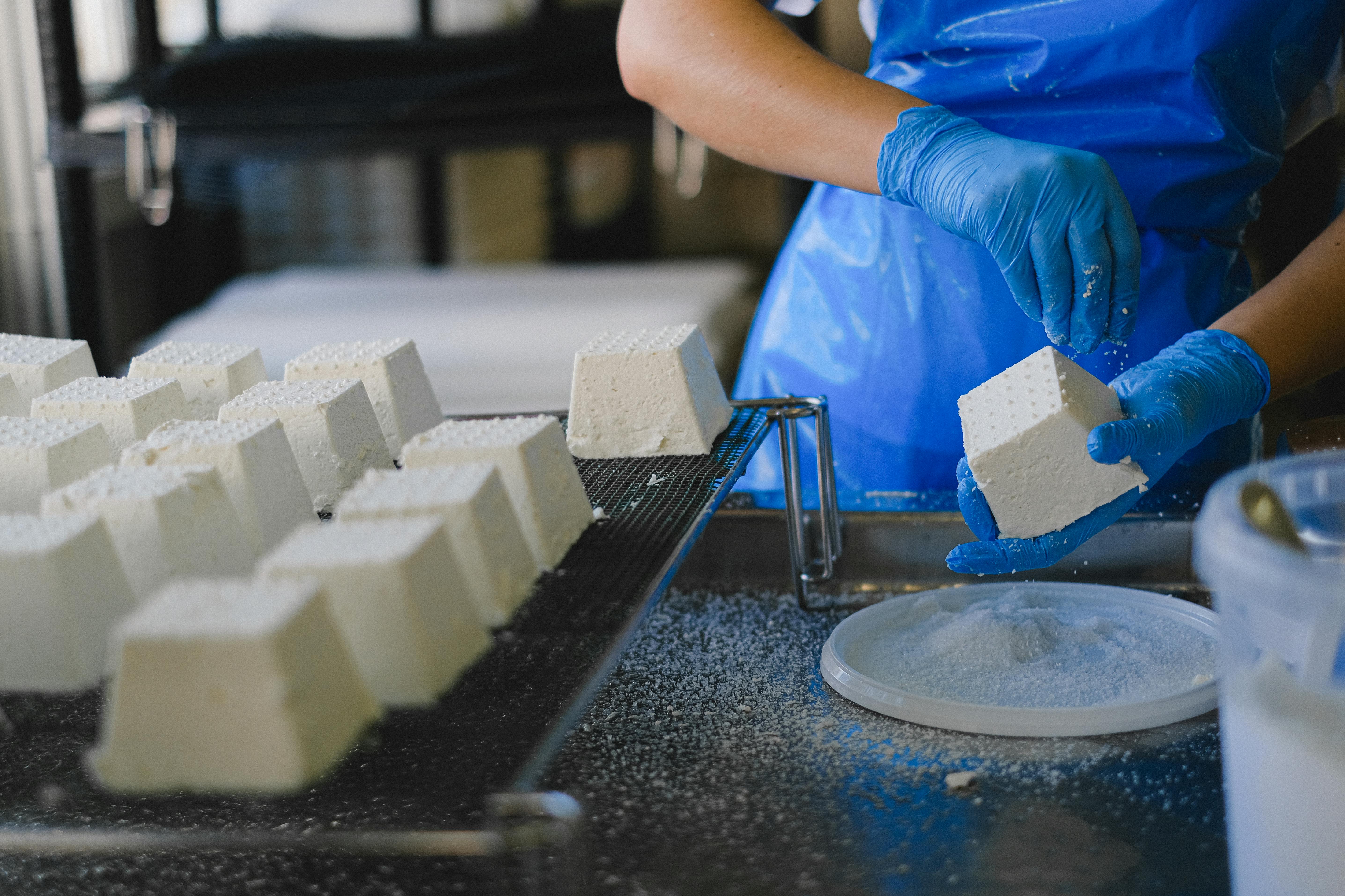 Person in blue gloves and apron handling and salting a cube of cheese in a dairy processing facility.