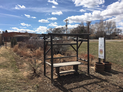 Norwood High and Dry Garden in Fall 2017. Most of the foliage is now dried out or dying. 