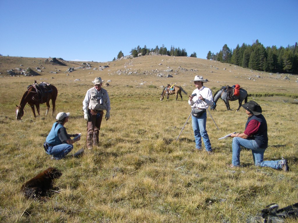 Four ranchers confer in a field with horses in the background.