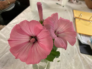 Close up of one of the individual plant submissions. Two of the three pink flowers in the vase have fully bloomed and the third is still a bud. 