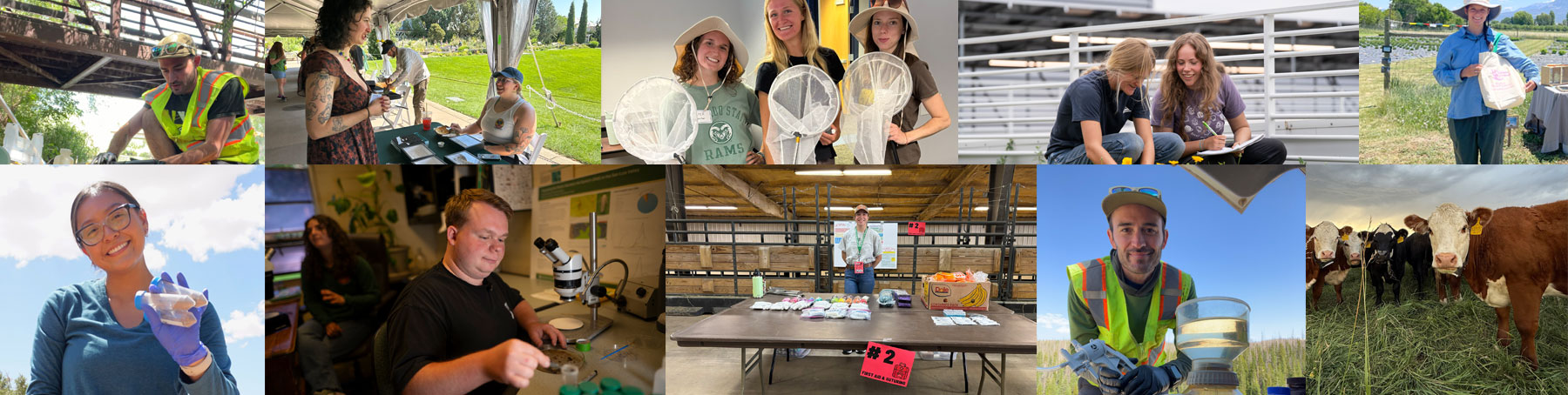 Extension Internship Program | Colorado State University