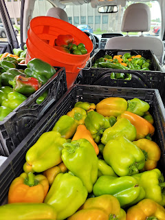 Cartons of peppers headed to local food pantries.