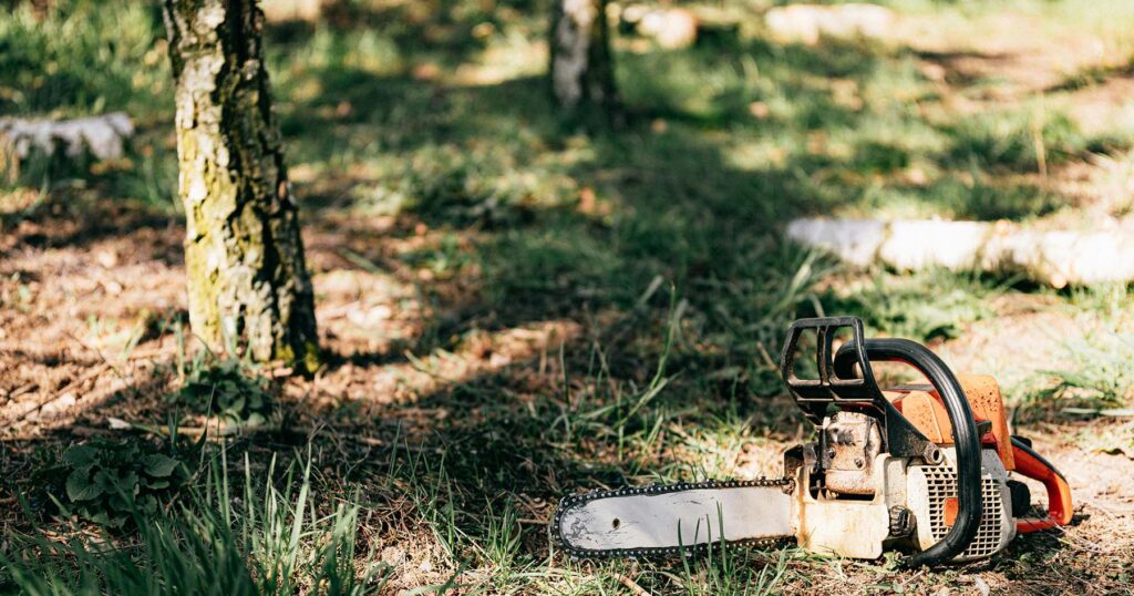A large gas-powered chainsaw rests on the ground near a tree