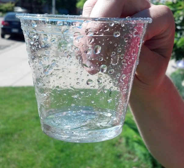 Plastic cup used for a lawn irrigation audit partially filled up with water. This is done to measure if the sprinklers are evenly distributing water across the entire lawn.