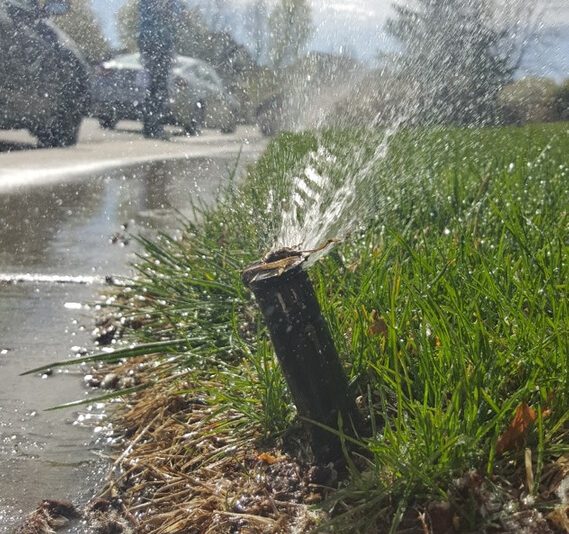 Tilted sprinkler head causing the water to spray a lot of sidewalk.