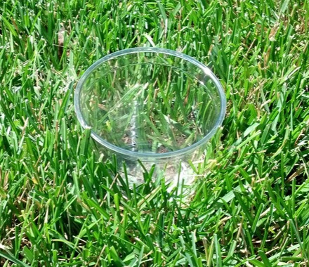 An empty plastic cup placed on a lawn for an informal irrigation audit.