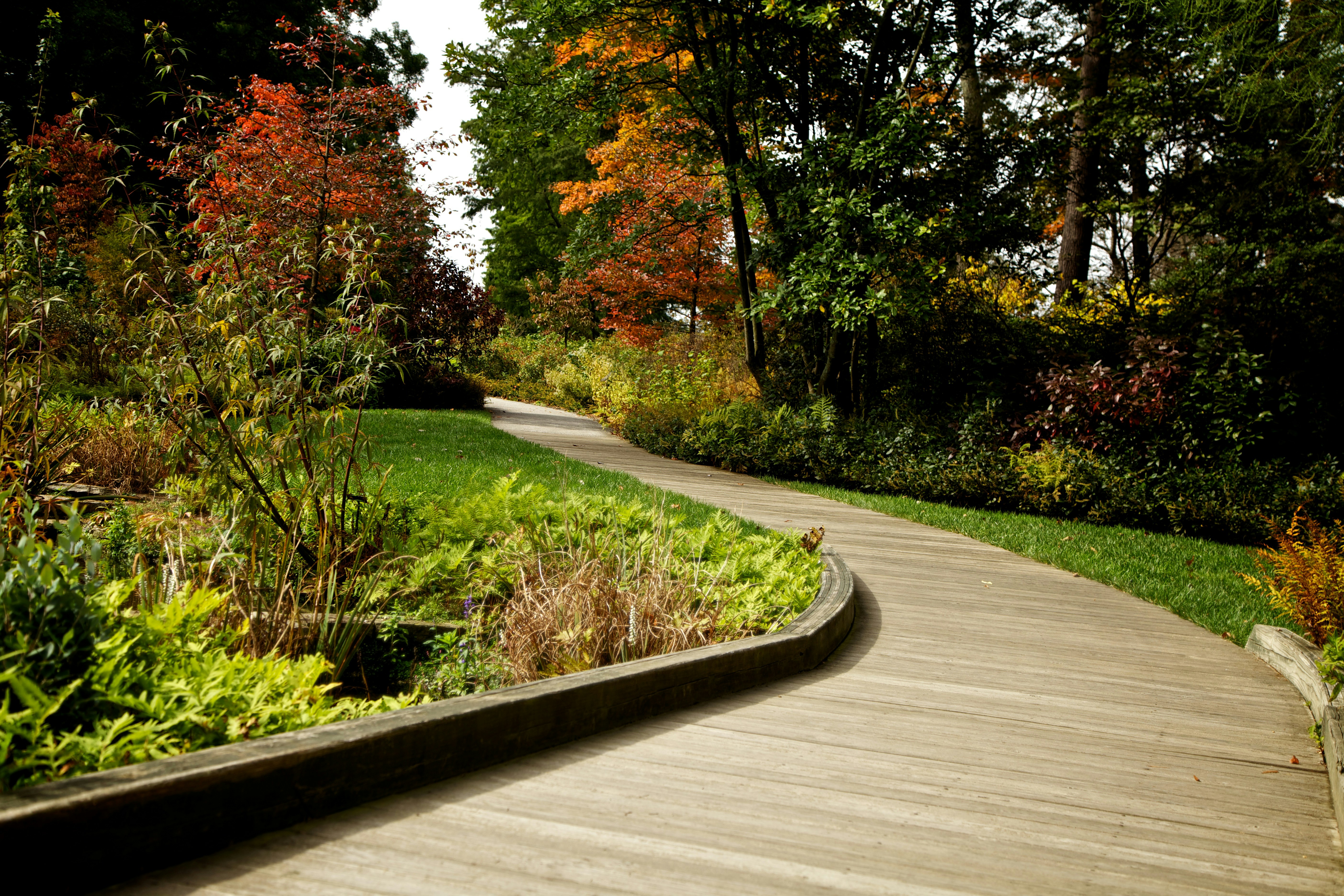A winding wooden walkway bordered by lush green grass and diverse garden plants, with trees showing early signs of autumn colors.