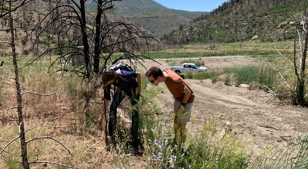 Two individuals crouched over, examining the ground and vegetation. A white truck is parked on a dirt road behind them with mountains and dead trees in the background.