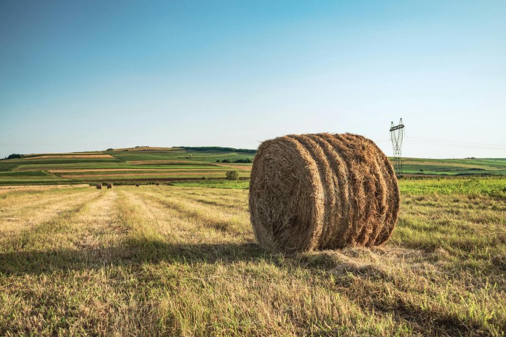 A large round hay bale sitting in a freshly harvested field with patchwork farmland and power lines in the distance under a clear blue sky.