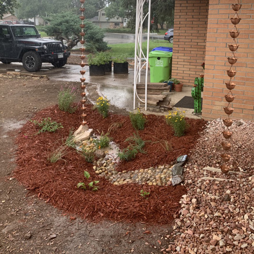 A front yard after the instillation of a rainwater garden, including fresh mulch, rocks, and flowers/plants.