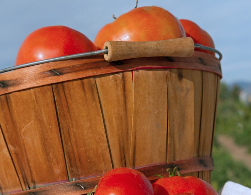 A wooden basket full of fresh, ripe, red tomatoes.