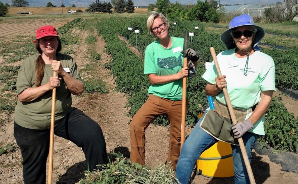 Three Master Gardeners posing for a picture in the tomato field holding gardening equipment.