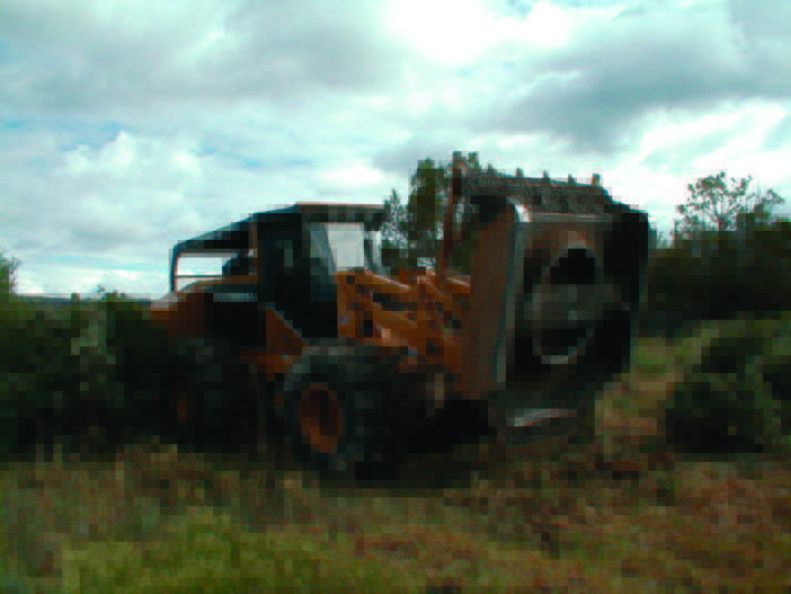 Image of a Hydroaxe removing oak brush