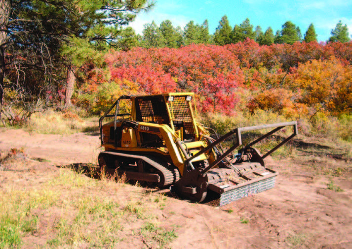 Mechanical treatment using a timberaxe to remove oak brush