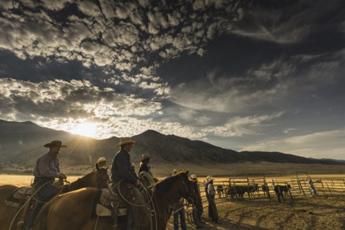 Group of people on horseback on a ranch with cattle fenced in behind them. There are mountains in the background with a partly cloudy sky during early sunset. 