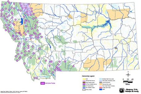 A map showing Montana wolf pack locations.