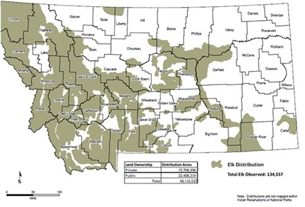A map showing Montana elk herd locations. 