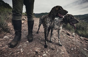 Two dogs standing on a rocky path next to a person in green pants and black boots. Hills and vegetation are in the background. 