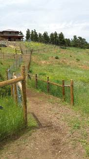 A dirt path bordered by wooden posts and wire fencing winds through a grassy field. Green vegetation grows along both sides of the path, with rolling hills and scattered yellow wildflowers in the background. In the distance, a house sits on a hill with a line of evergreen trees behind it, under a cloudy sky.