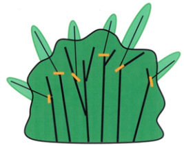 Diagram of a shrub demonstrating branch-by-branch shaping