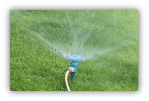 A hose and sprinkler spraying water across a field.