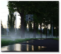A sprinkler system going off, sharing the irrigation between the trees and the turf.