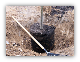 Checking depth of root ball in planting hole with a straight board.