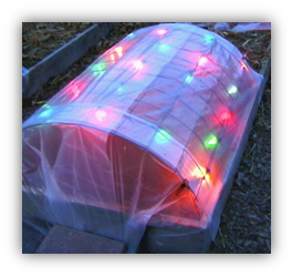 An arch-shaped metal frame placed over a rectangular raised garden bed and covered with clear plastic.  Multicolored holiday lights are visible and shining, attached to the wire frame beneath the plastic sheet.
