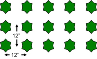 Drawing of strawberry plants in a hill system. In the hill system, plants are spaced 12 inches apart in double or triple rows at 12 inches apart. All strawberry plant runners are removed.
