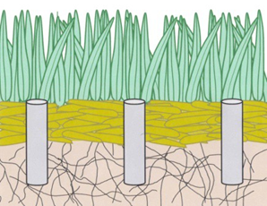 A line drawing of a lawn in cross-section, with green grass blades on top, a thinner layer of yellow thatch, and brown soil with roots below. Grey cylinders represent the holes created by core aeration penetrating through the thatch layer and into the soil layer.