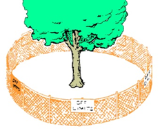 A line drawing of a mature tree surrounded by a circular fence, placed outside of the dripline of the tree.