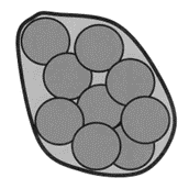 A group of nine equally sized, slightly overlapping circles representing tree canopies in plan view.  A larger ovoid shape has been drawn around them to indicate the outer edge of the PRZ for the group of trees.