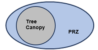 A diagram of a tree canopy and a PRZ that are not the same shape--the tree canopy is represented by a grey circle, it is placed to the left of center inside  a larger blue oval, representing the PRZ.