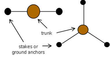 Line drawing of two different anchor staking configurations: In one, a tree trunk is represented by an orange dot at center with 2 stakes or ground anchors, indicated by black dots, on either side of the tree, in line with the tree. Lines indicate the stakes or anchors are attached to the tree trunk. In the second option, a tree trunk, represented by an orange dot is at the center, with 3 stakes or ground anchors evenly spaced around the tree. Lines indicate the stakes or anchors are attached to the tree.