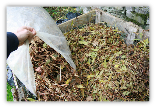 Image of leaves being added to a compost bin.
