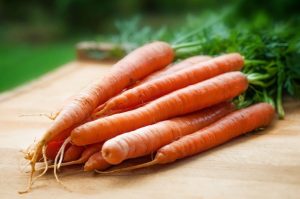 Uncut and unpeeled carrots in a bunch on a table. 
