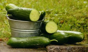 cucumbers in a silver bucket, one of them cut in two. 