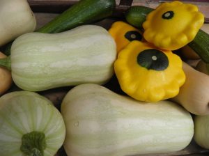 Squash varieties in a pile.