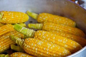 Corn on the cob cooking in a large pot.