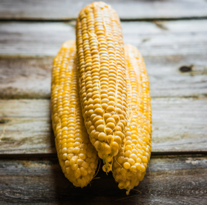 Three shucked ears of corn on a table.