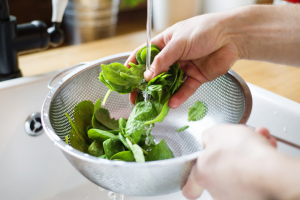 Leaves of spinach being washed over a sink.