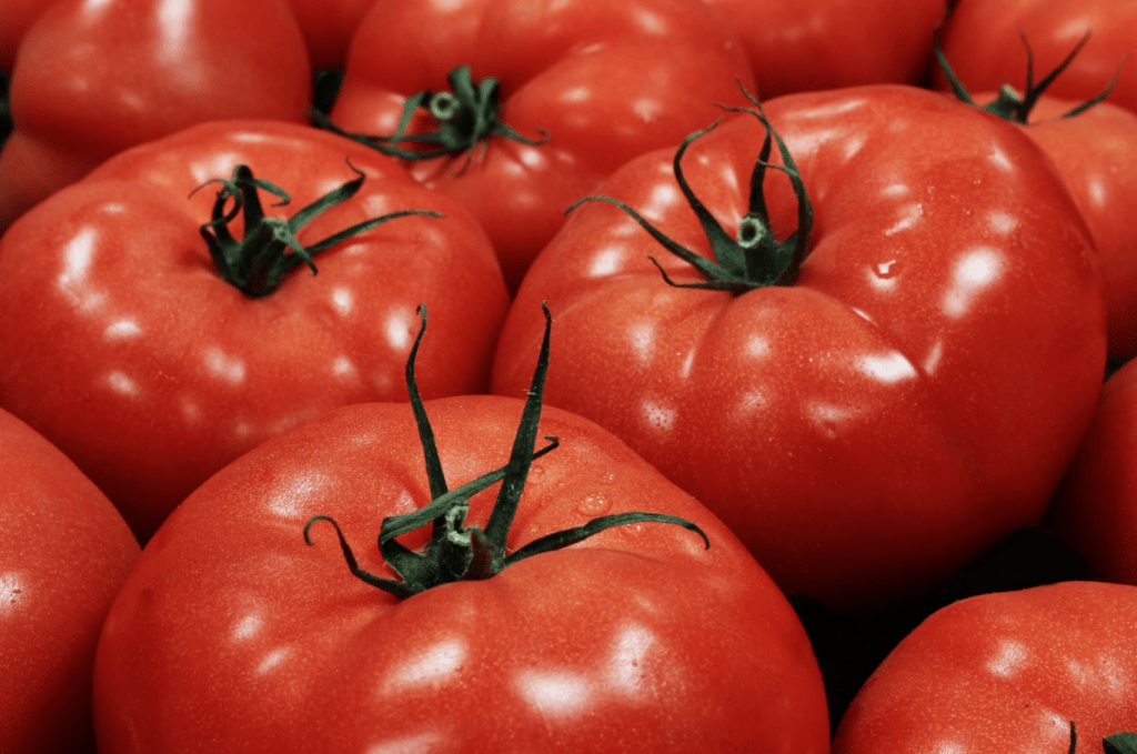 Tomatoes on display