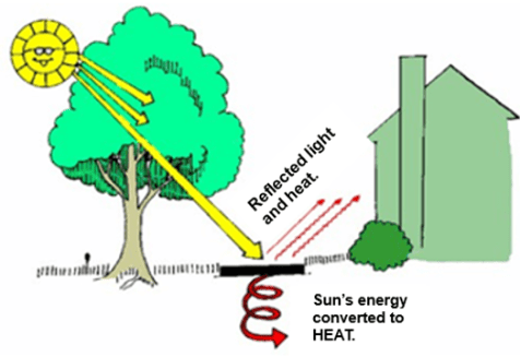 Drawing showing a house, a sidewalk, and a tree next to it. There is a sun with sunglasses and a smile behind the tree. The sun's rays shine through the canopy and heat a sidewalk between the tree and the house. The heat from the sidewalk radiates toward the house and is indicated by arrows from the sidewalk to the house and text that says, "Reflected light and heat." Some heat is also reflected down into the ground and is indicated by a red arrow pointing downward. 