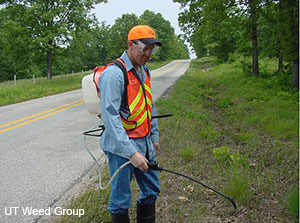A worker in safety gear, including an orange hard hat, reflective vest, and backpack sprayer, applying herbicide along a roadside with trees and grass in the background.