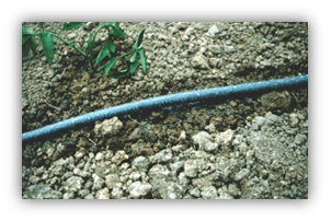 Picture of a soaker hose seeping water out along the length of the hose.