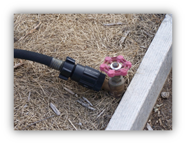 Picture of an irrigation pipe, it is easy to plumb a tap at each raised bed box. Here a pressure regulator with hose-end fittings reduces pressure to 25 psi. It is connected to a ½-inch soaker hose.