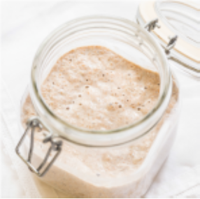 A close-up view of a glass container filled with sourdough starter and depicting how bacteria and yeast aid in sourdough fermentation